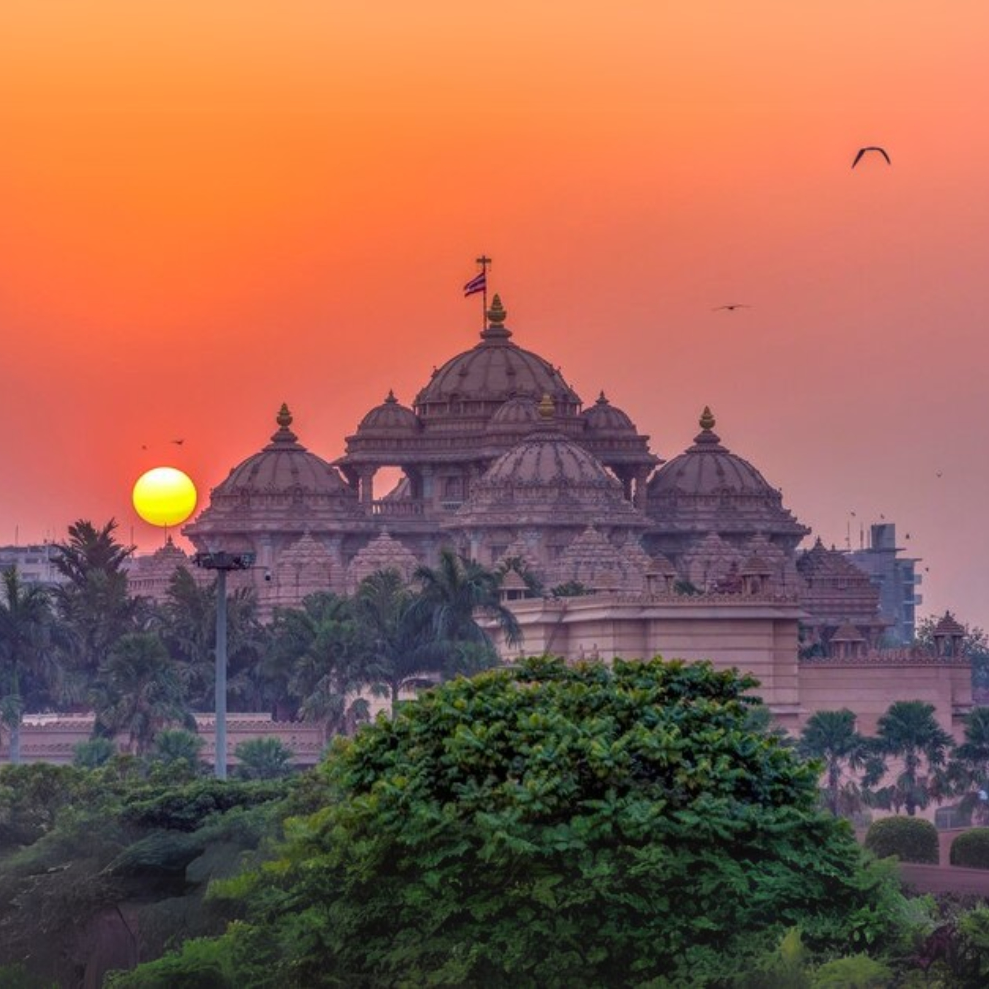 Tour Image
