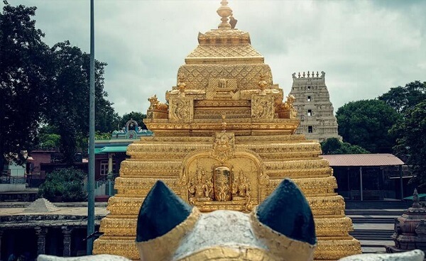 Tour Image